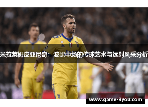 米拉莱姆皮亚尼奇：波黑中场的传球艺术与远射风采分析