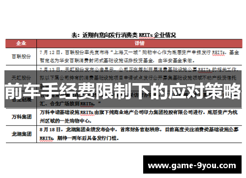 前车手经费限制下的应对策略